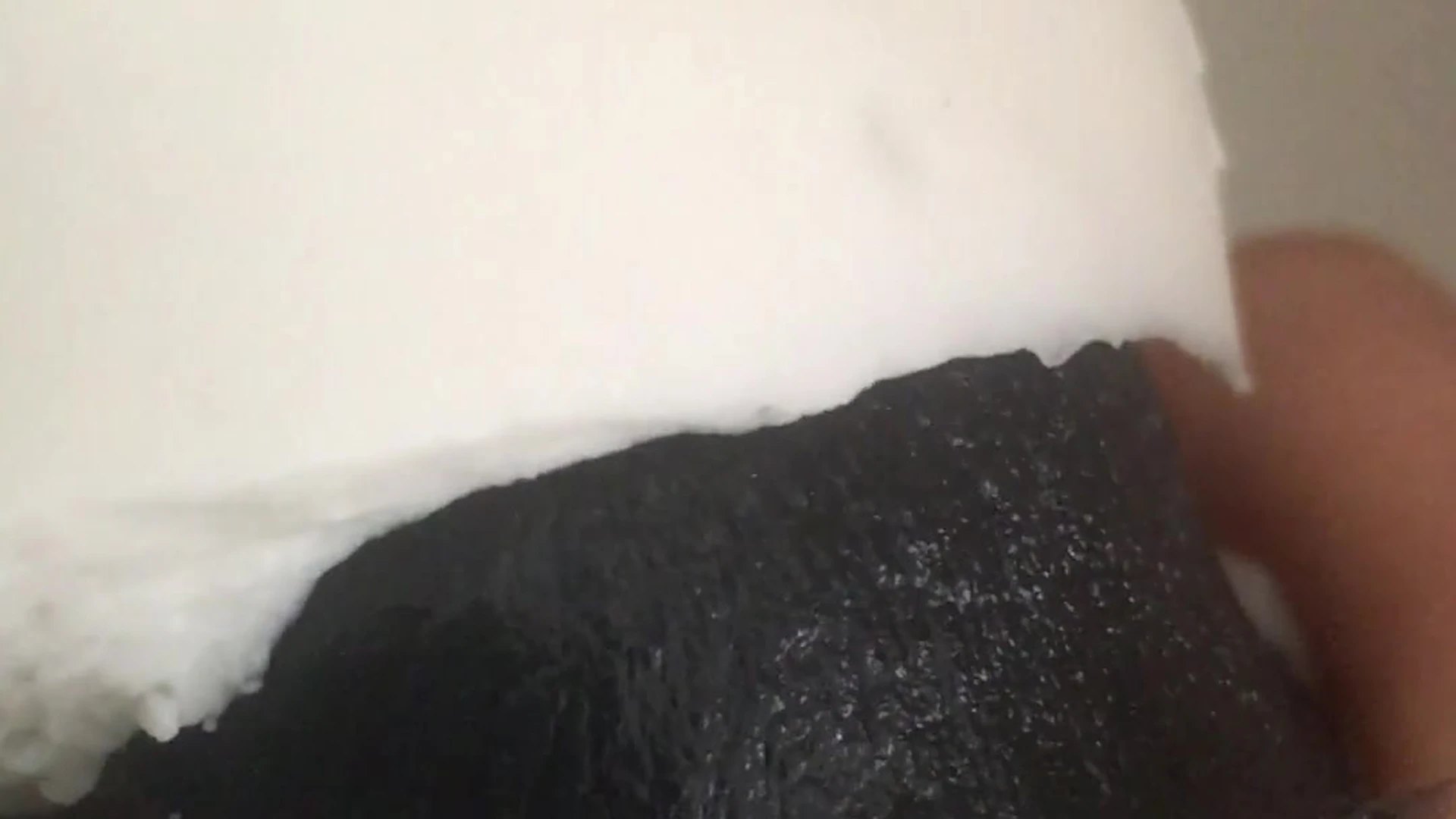 daddy honeybadgerx onlyfans leak Clip