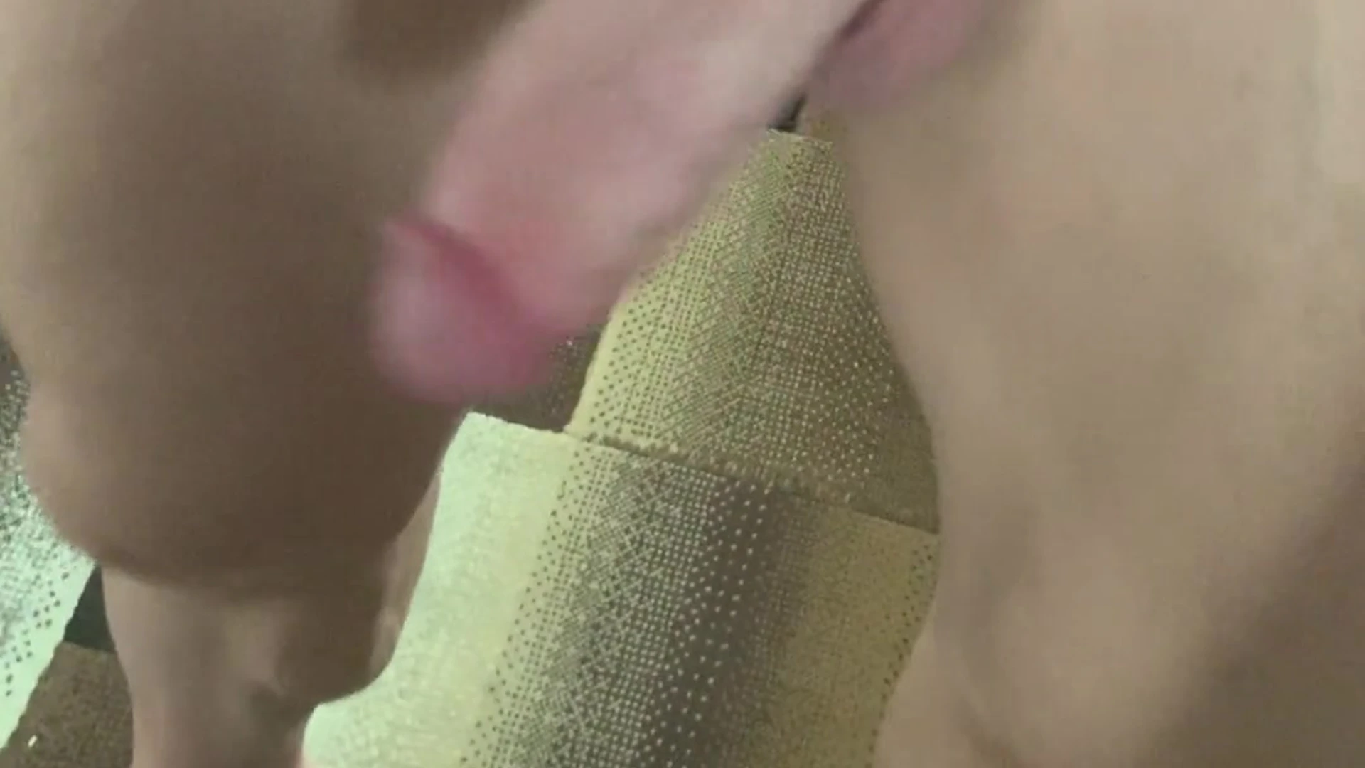 cute Pituco Hayden Monteleone nude porn leak Epic