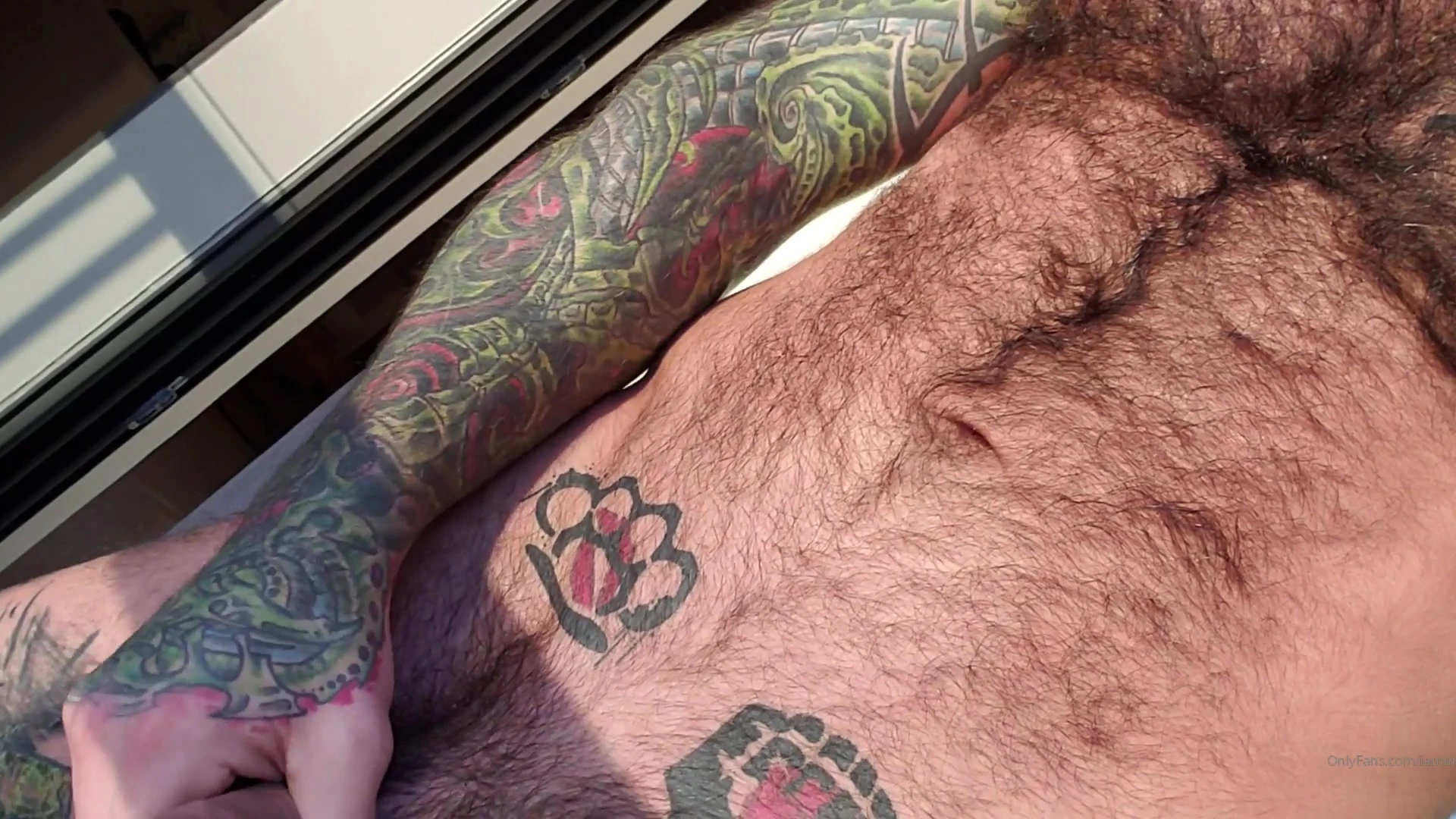 Furry Markus Kage of Sensational