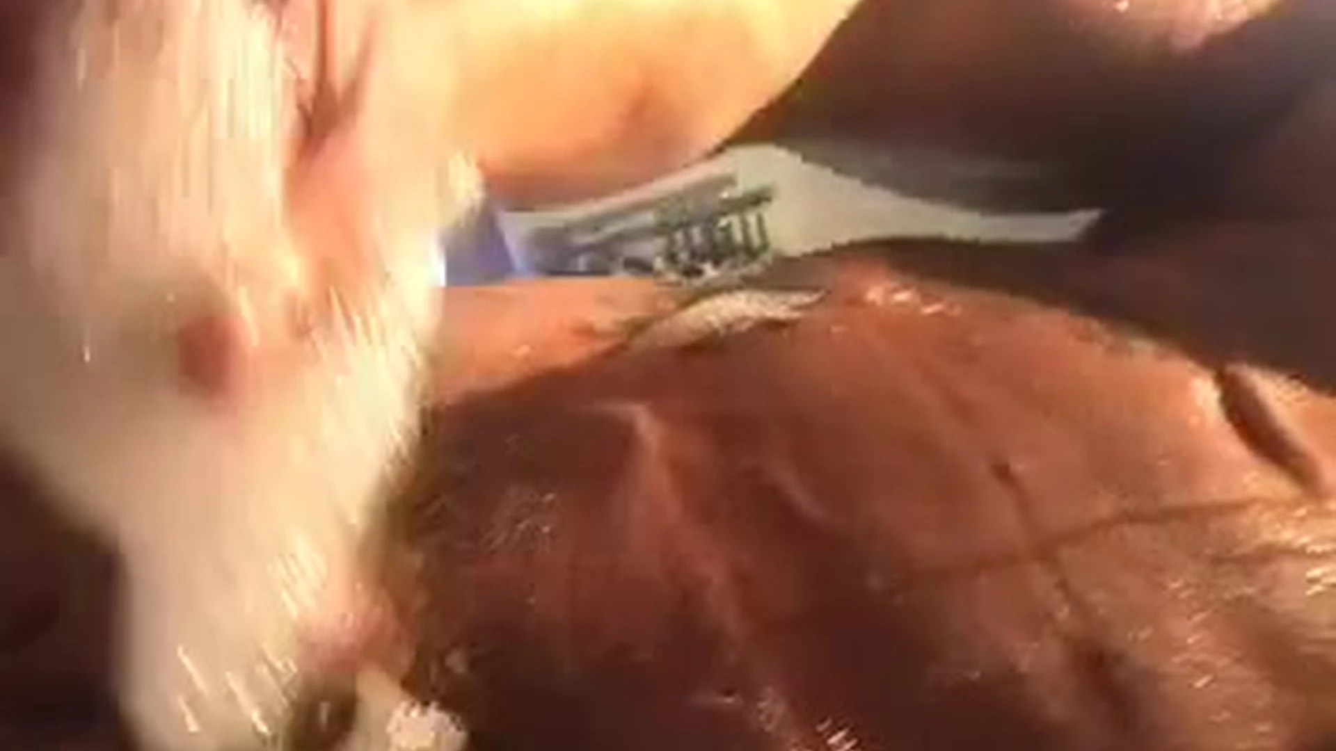 Affable  raw throatedtv nude Epic