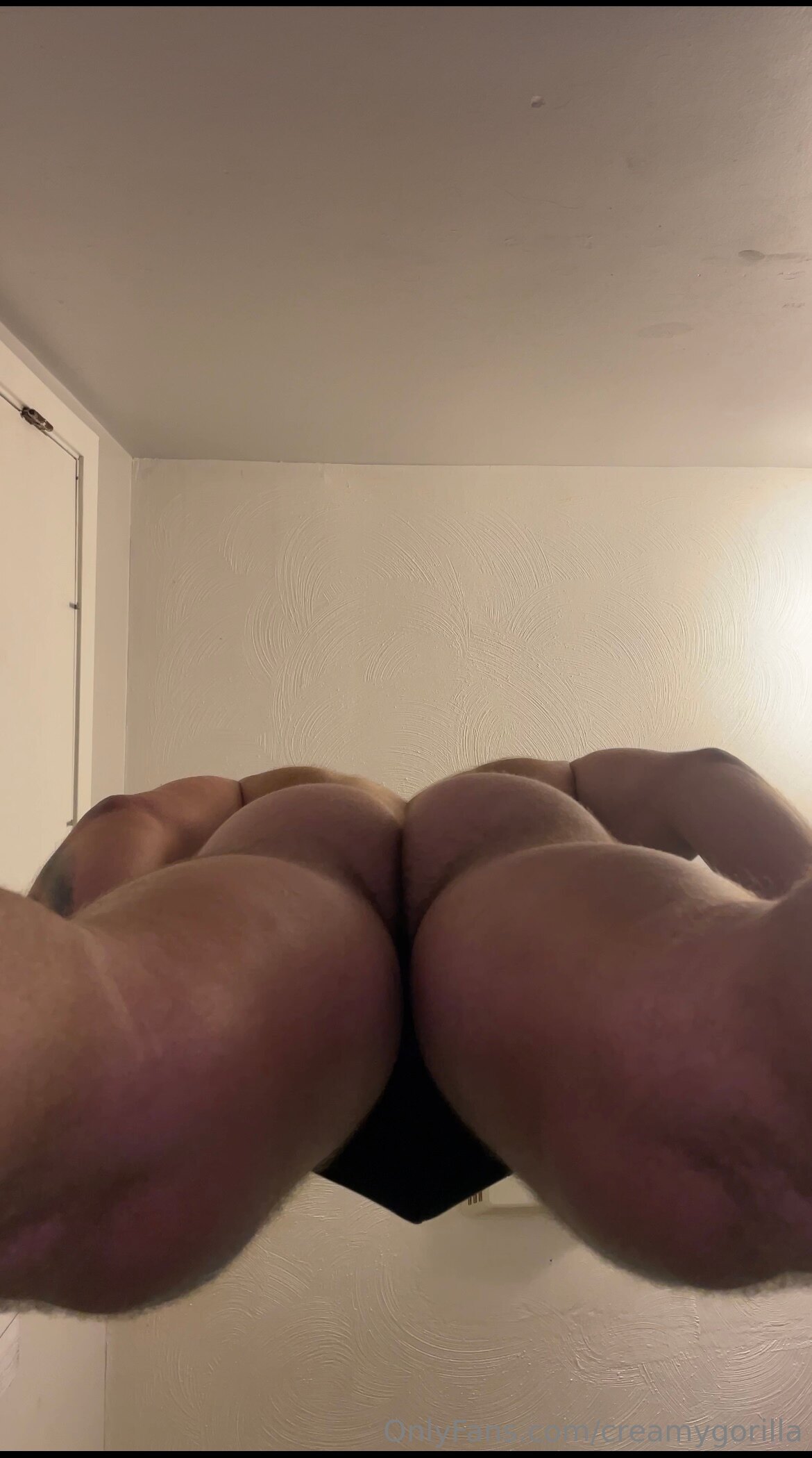Disciplined Alpha CreamyGorilla pics porn Full Clip Exposed