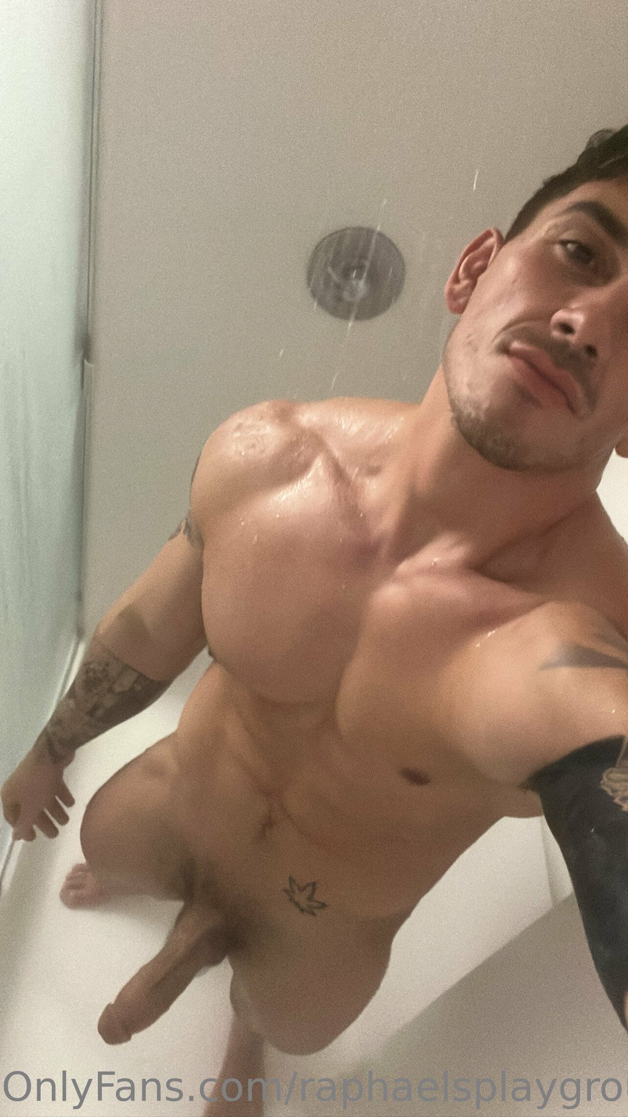 Sensational Magnetic  premium stud Raphael Lee nude