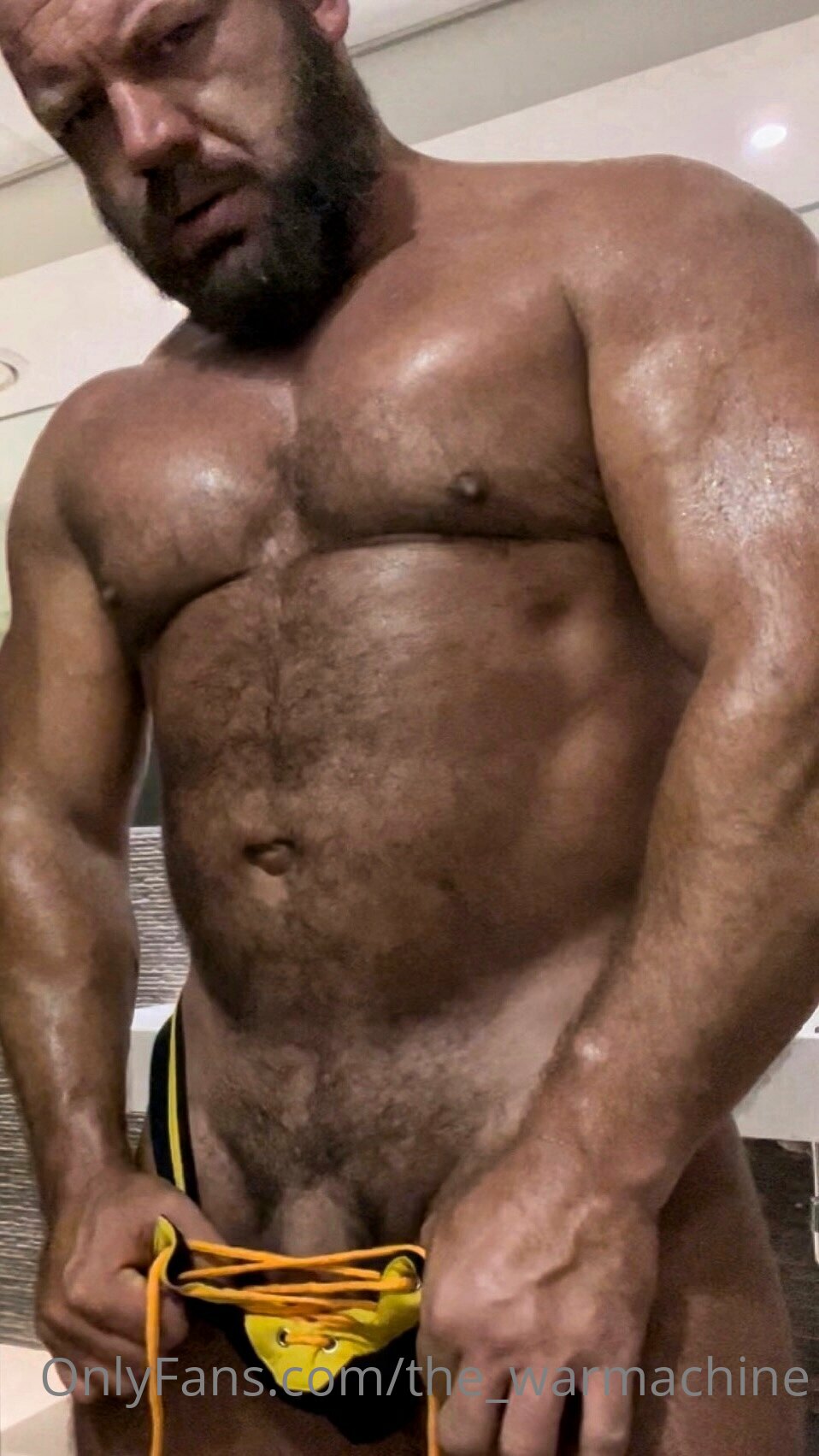 Gay Bear the_warmachine   PRIVATE
