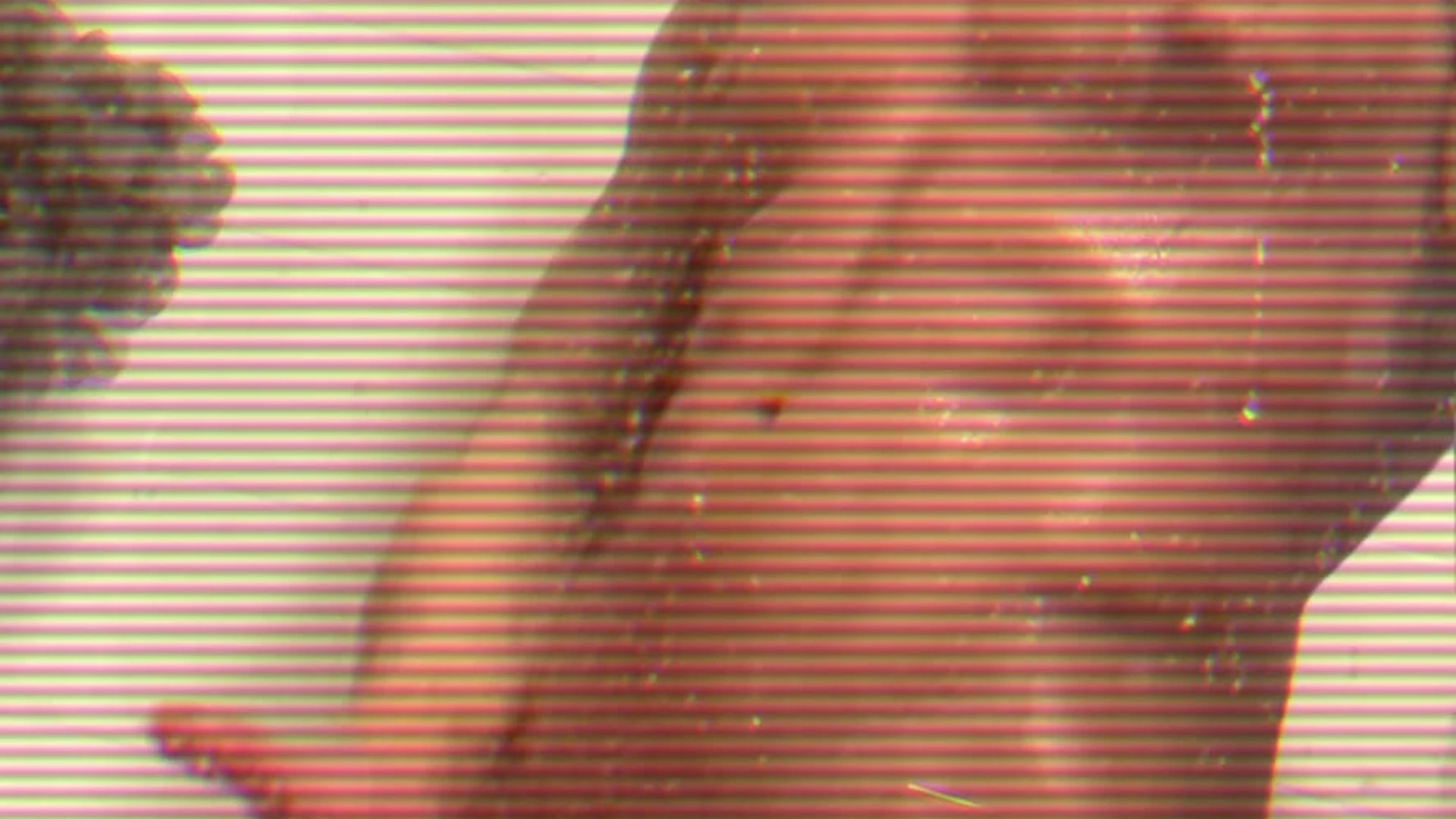 cutie pie primal Logan Drake Fansly leaked Exposed