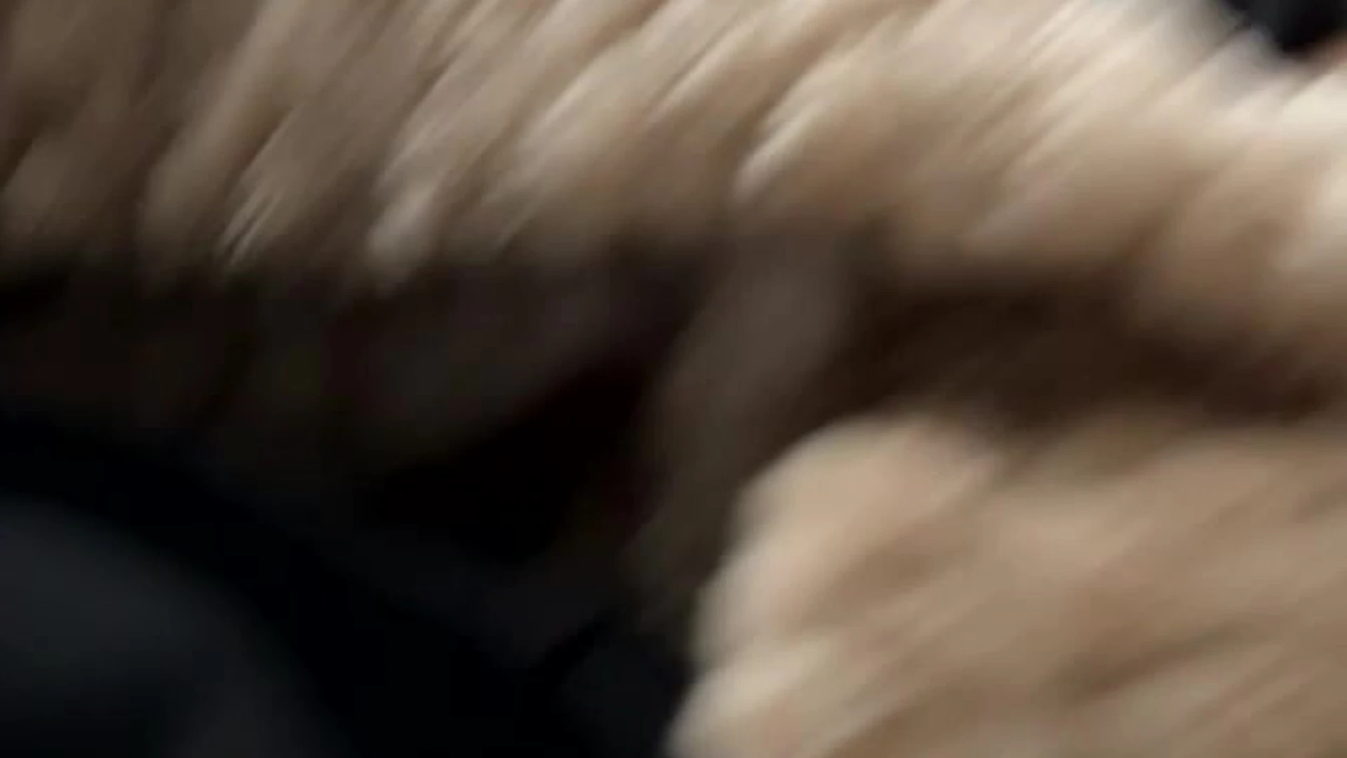 sexy hoe slutty logandrake Onlyfans leaked