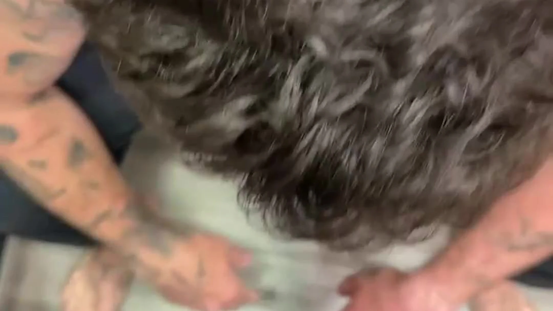 Exposed creamy logandrake Leak release