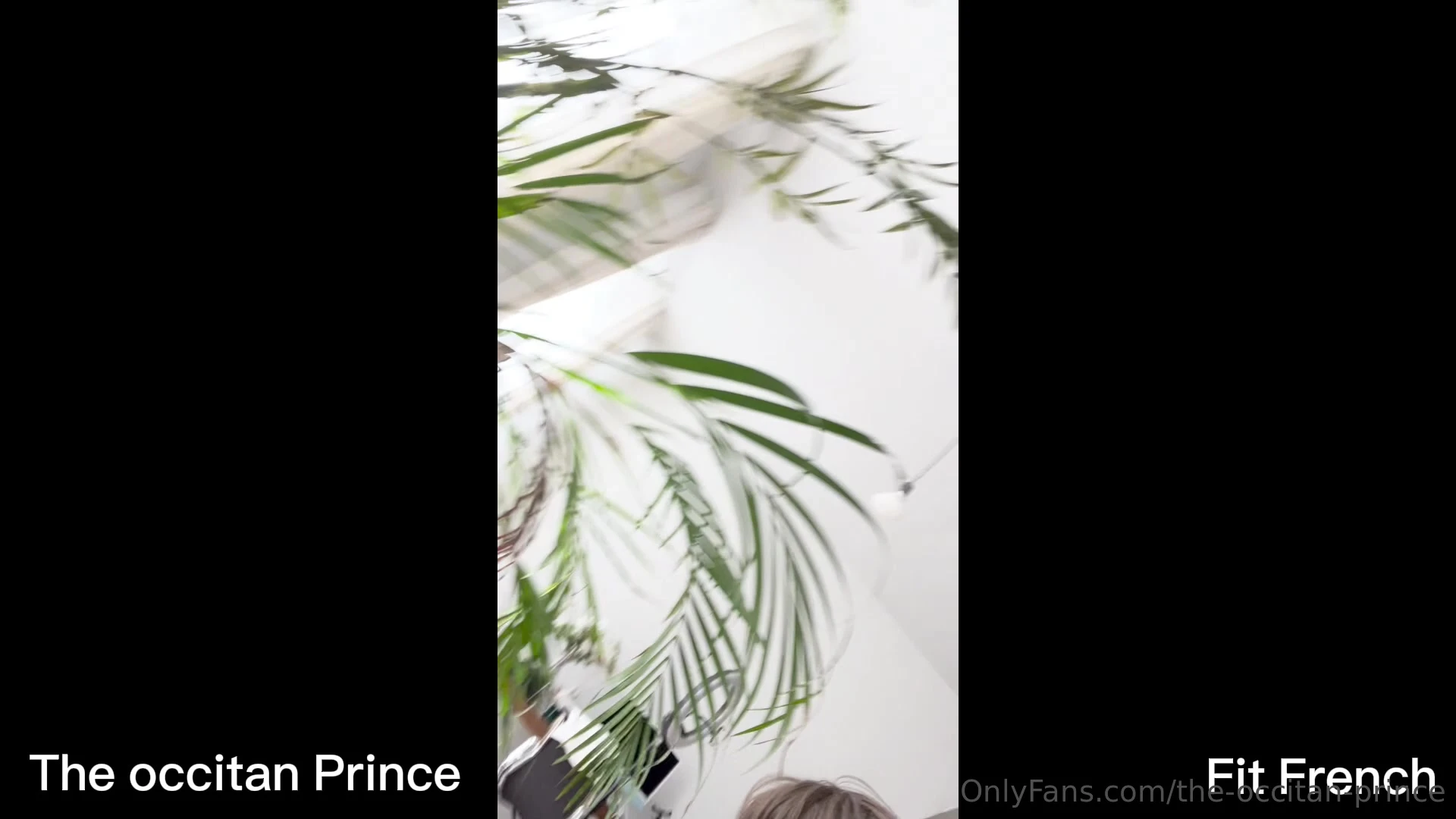Epic Disciplined Raunchy the-occitan-prince XXX Vid