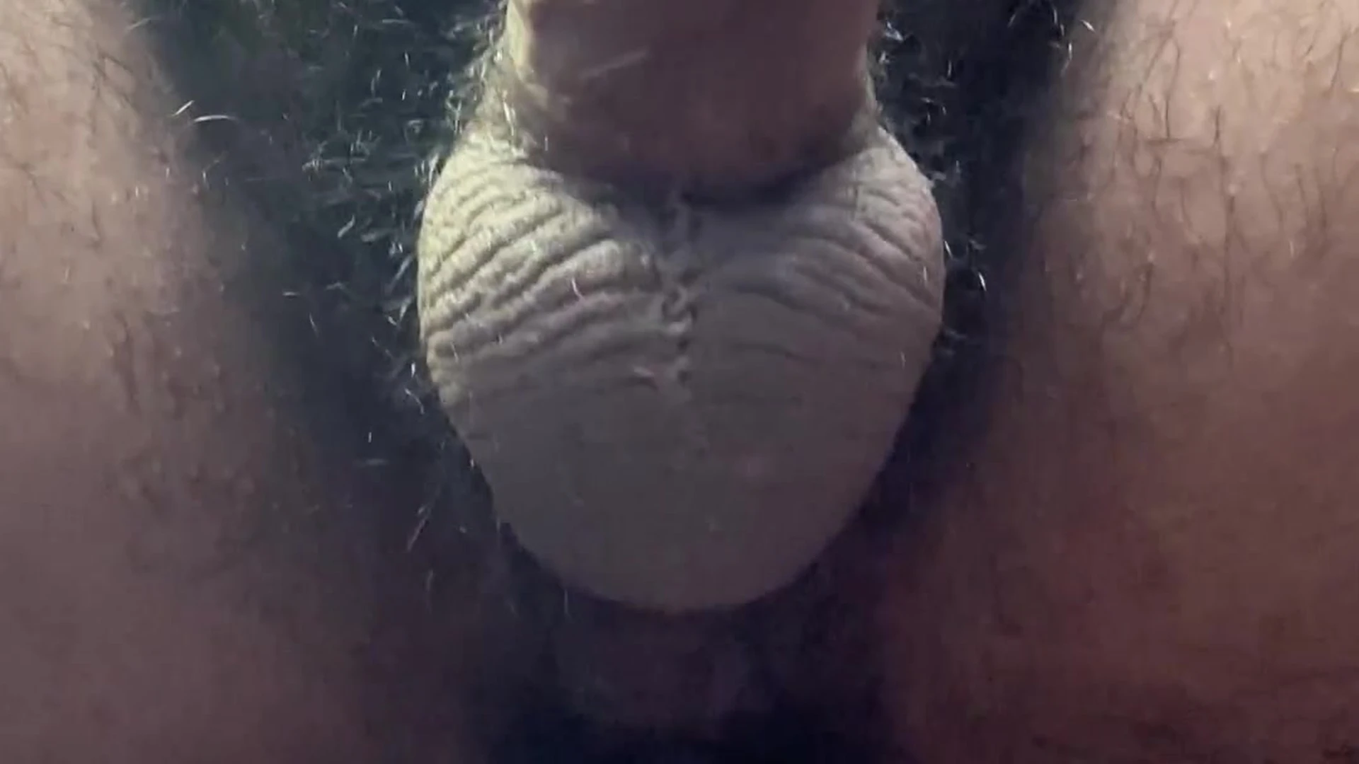 Nick_Butlerxx nickbutlerx Leak FullVID