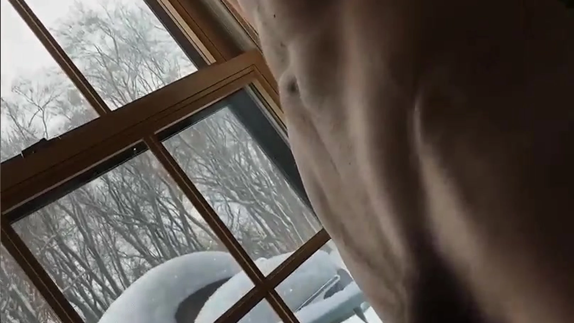 model jacobdooley masturbating Exposed