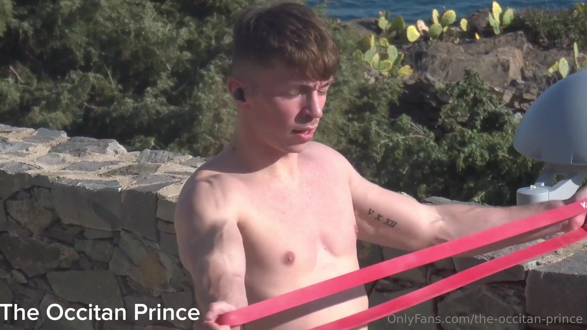 Disciplined Lewd The Occitan Prince cams Epic