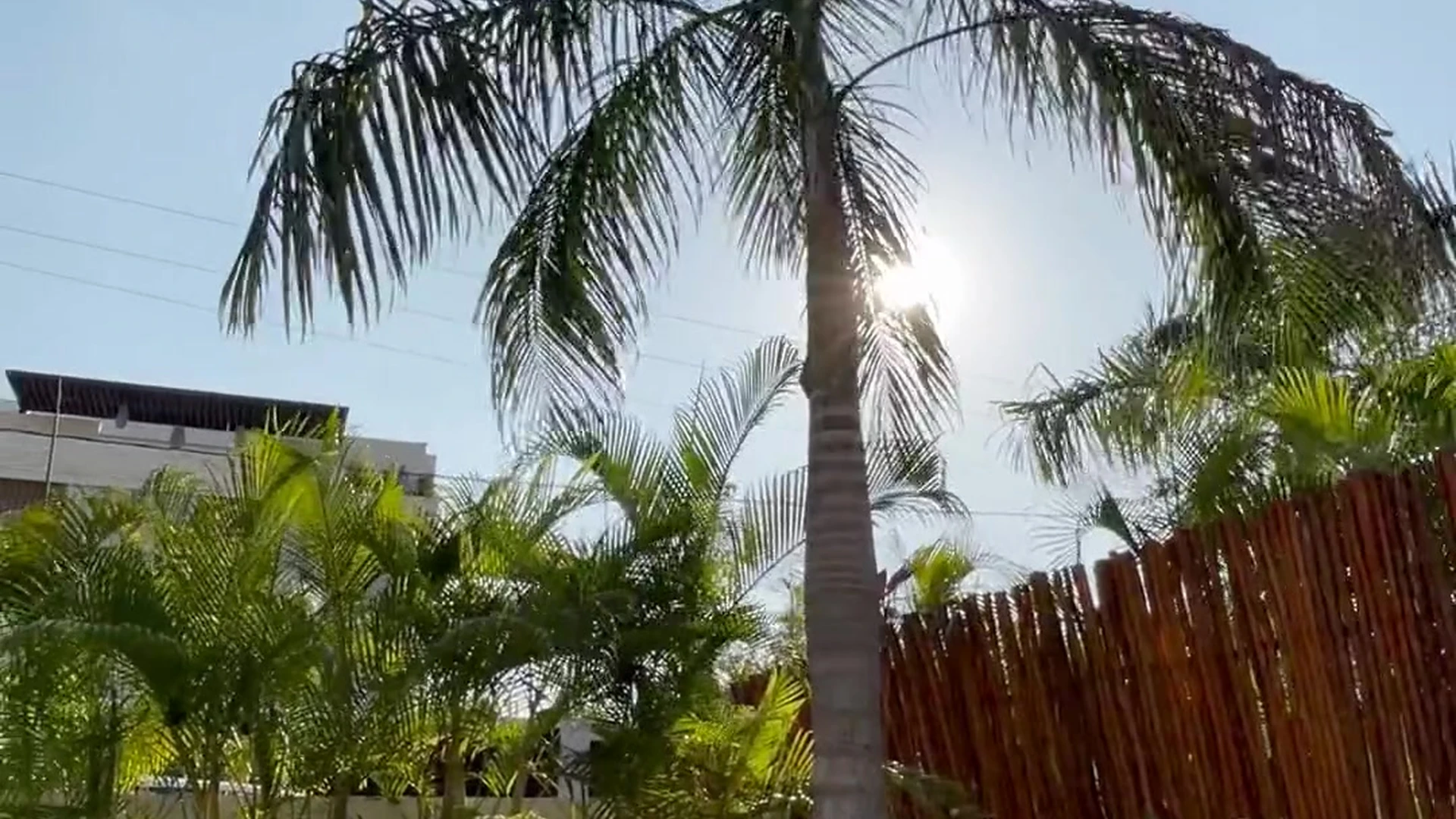 BBC xmanican nude full vid
