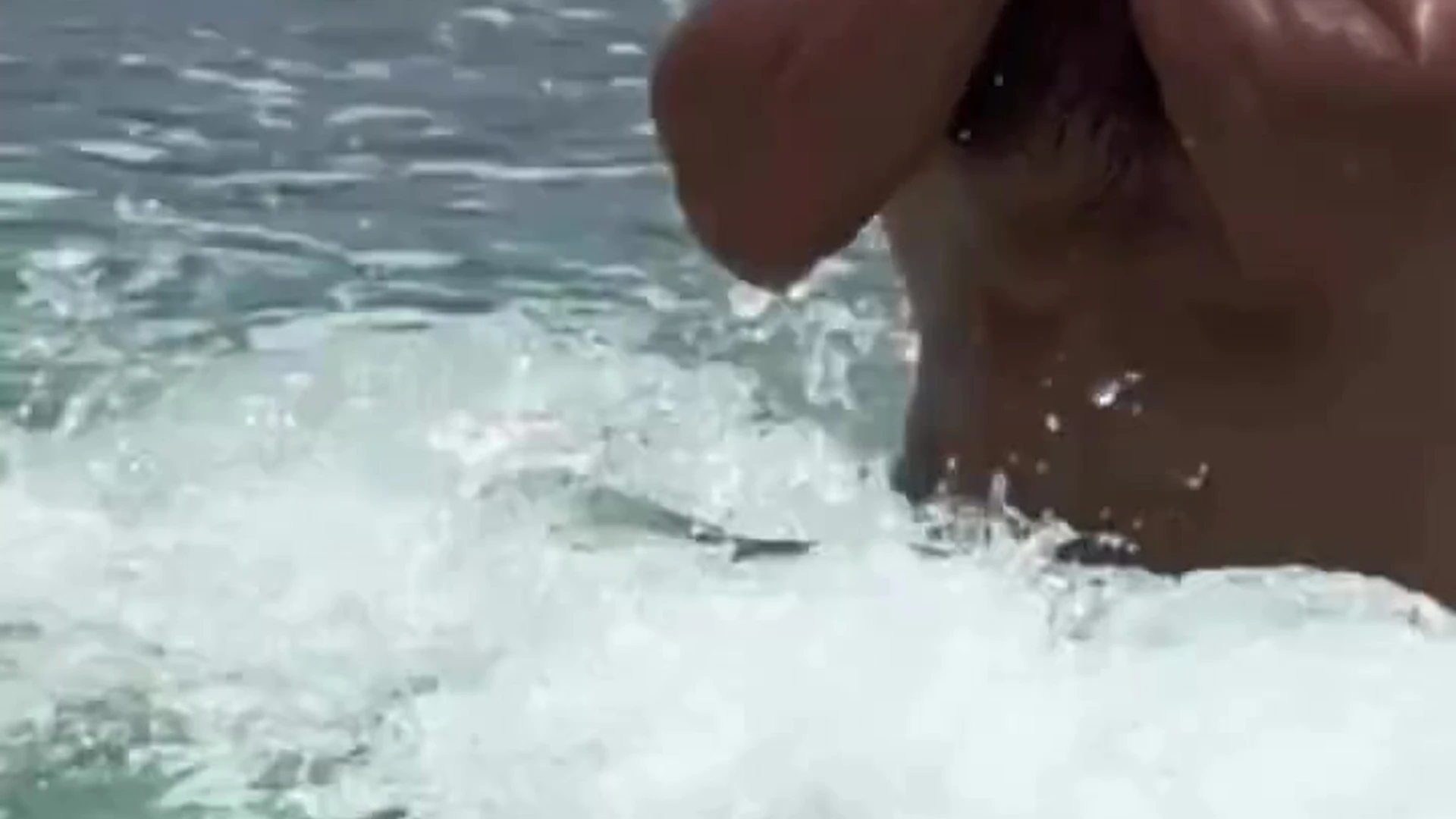 Shrewd russian Dmitry Averyanov sexy Exposed