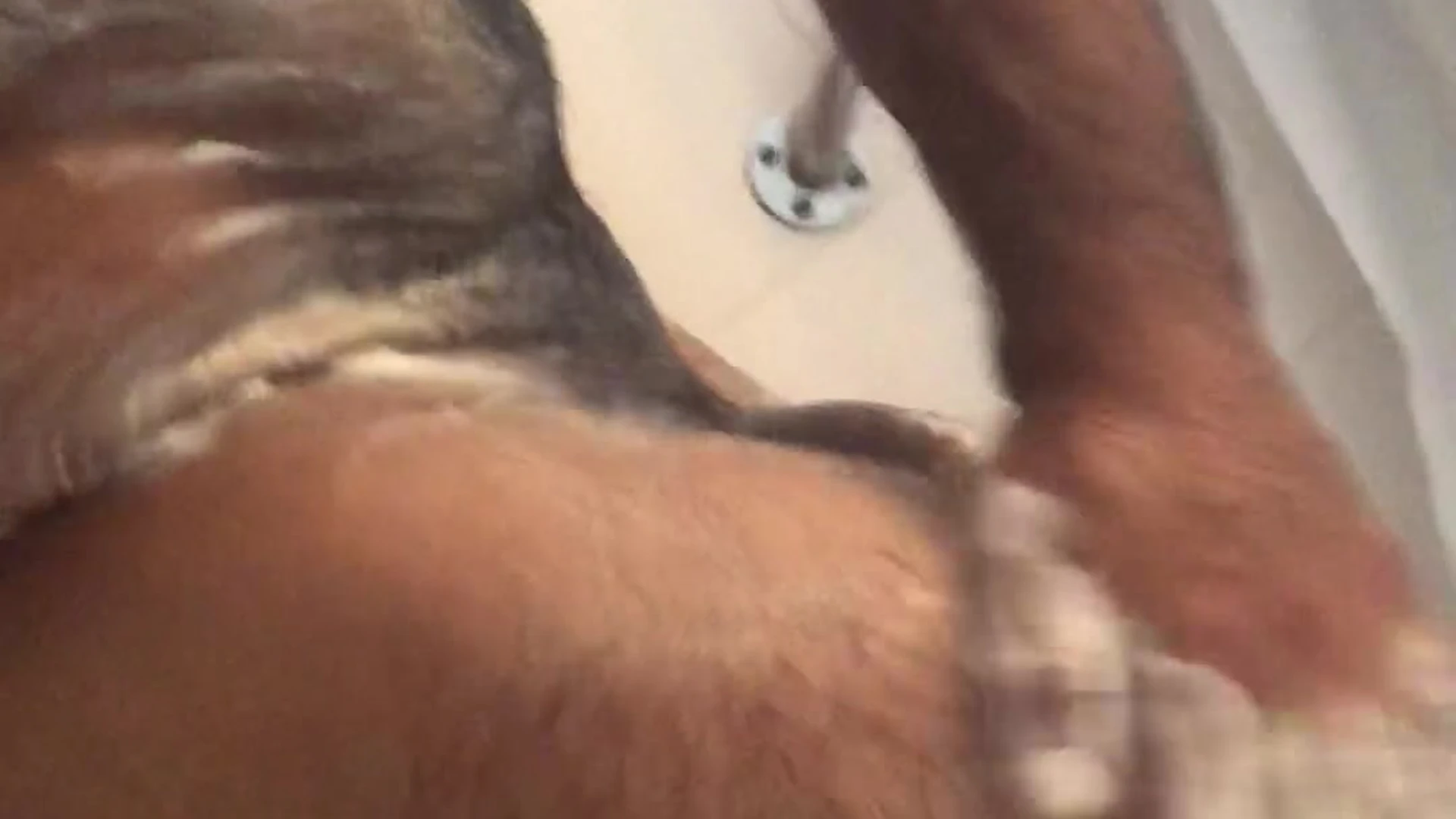 Big Geno gotta get clean after the tough workout